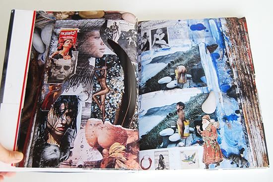 DIARY Peter Beard ダイアリー ピーター・ビアード 写真集 - 古本買取