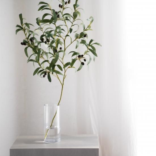 オリーブ斑入り剪定枝 B.C各1本 長さ 7センチ オリーブ斑入り剪定