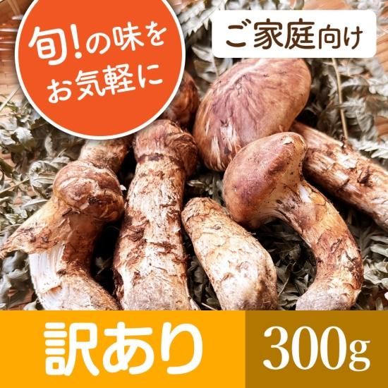 数量限定【訳あり】 国産松茸 岩手県産 松茸 おまかせ 300g | 岩手県