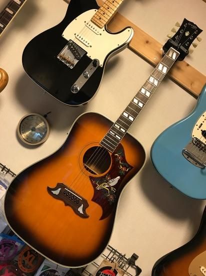 ORVILLE by GIBSON DOVE レアなオービルのDOVE！PU／プリアンプ搭載