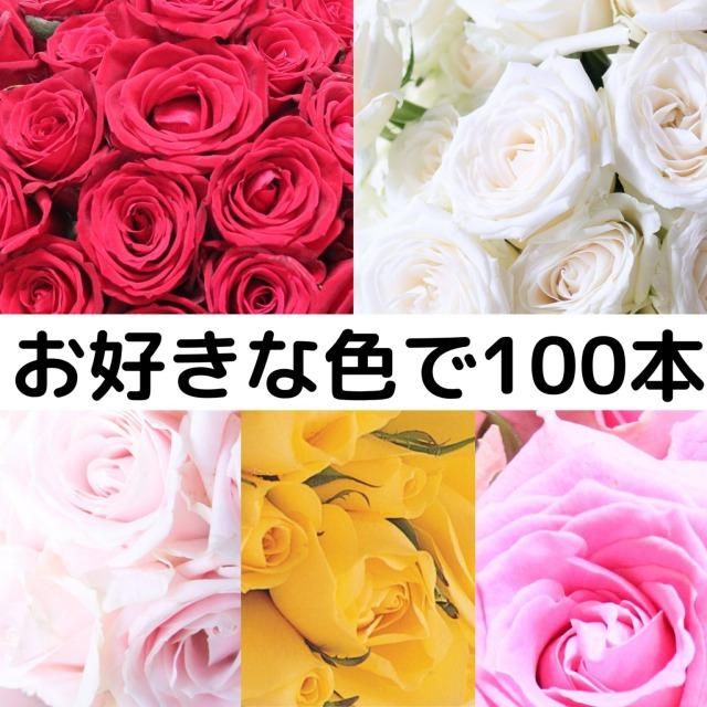 100本のバラ｜色の組み合わせが選べるオーダーメイド花束｜バラ農園直送