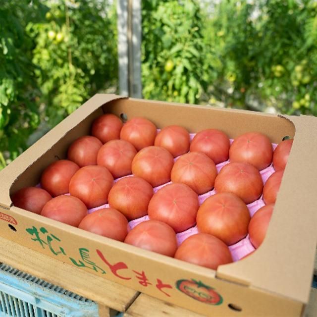 松島とまと 【4kg箱】 送料無料！！ - サンフレッシュ松島公式