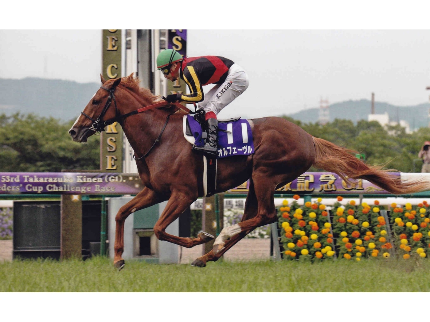 凱旋門賞に出走！ オルフェーヴルとキズナの素顔 [競馬] All About