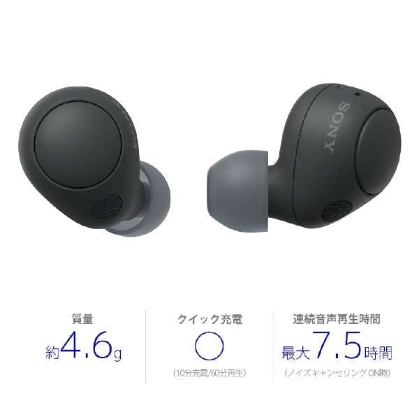 完全ワイヤレスイヤホン ブラック Bluetooth ノイズキャンセリング対応