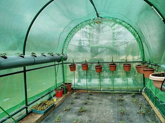 園芸用ヒーター｜温室の大きさ別におすすめのヒーターを紹介します