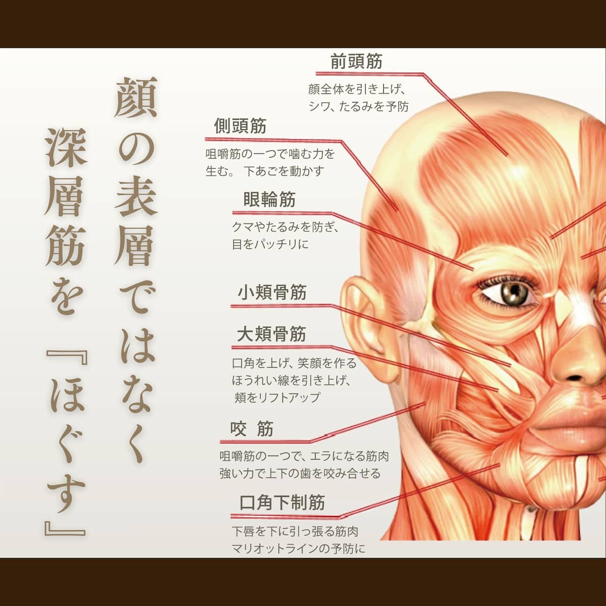 ヴェルテュエクシアイネディットクリーム 200g – EARTHWELL株式会社