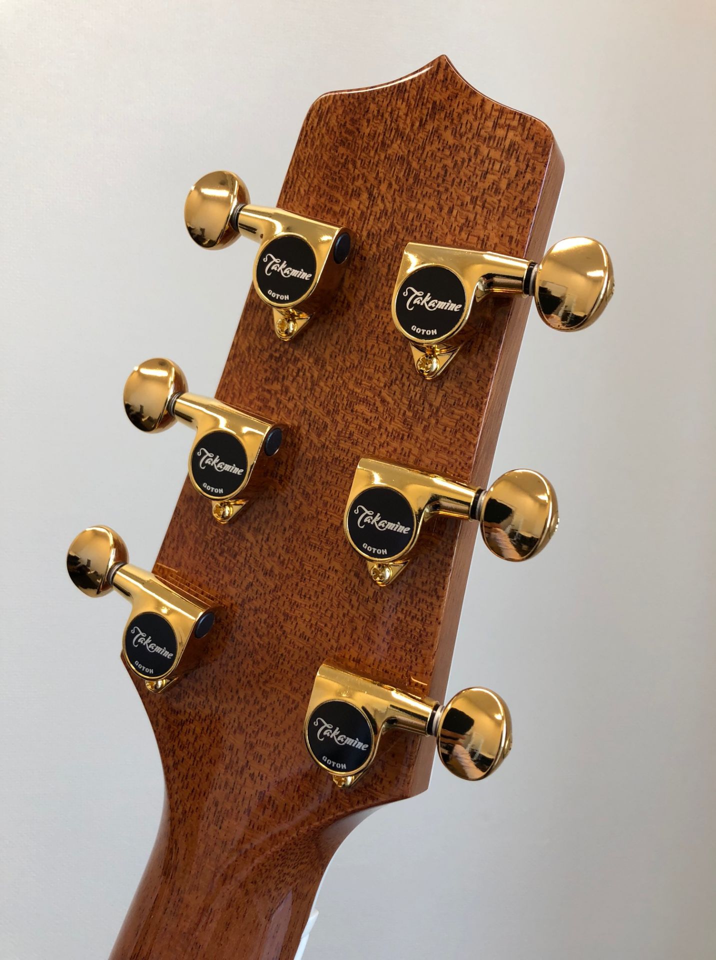 アコースティックギター】Takamine TSP178ASK N 入荷しました！｜島村