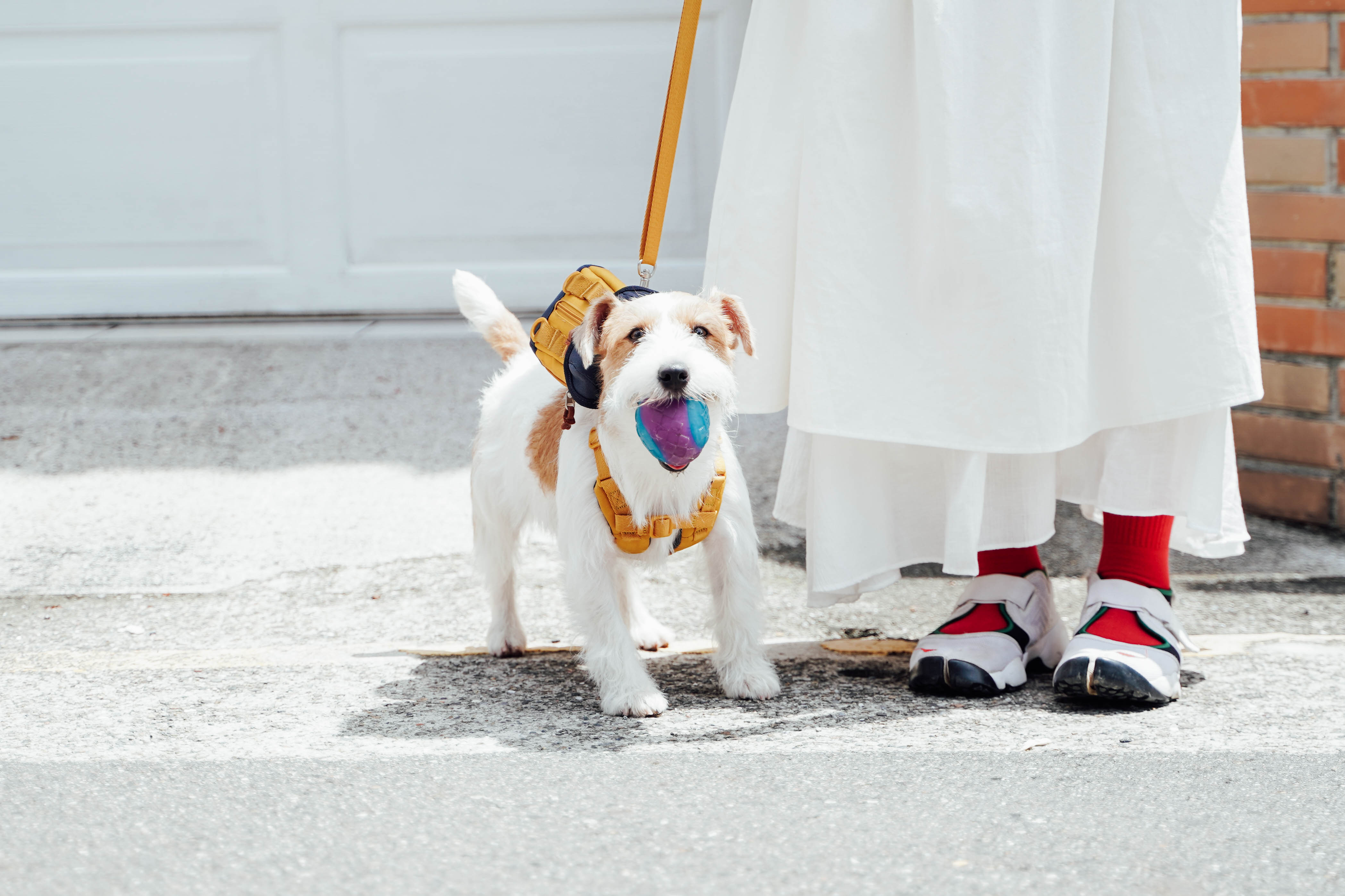 お散歩バッグ / BUCKET BAG BLACK LUXE – inunoco / いぬのこ