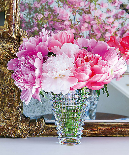 バカラ アイベースS アイ ベース スクウェア S | バカラ 日本