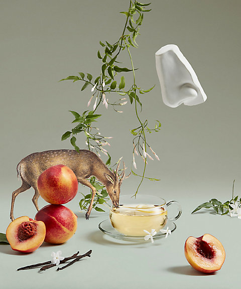 ペンハリガン（PENHALIGONS） アルテミジア オードパルファム 通販