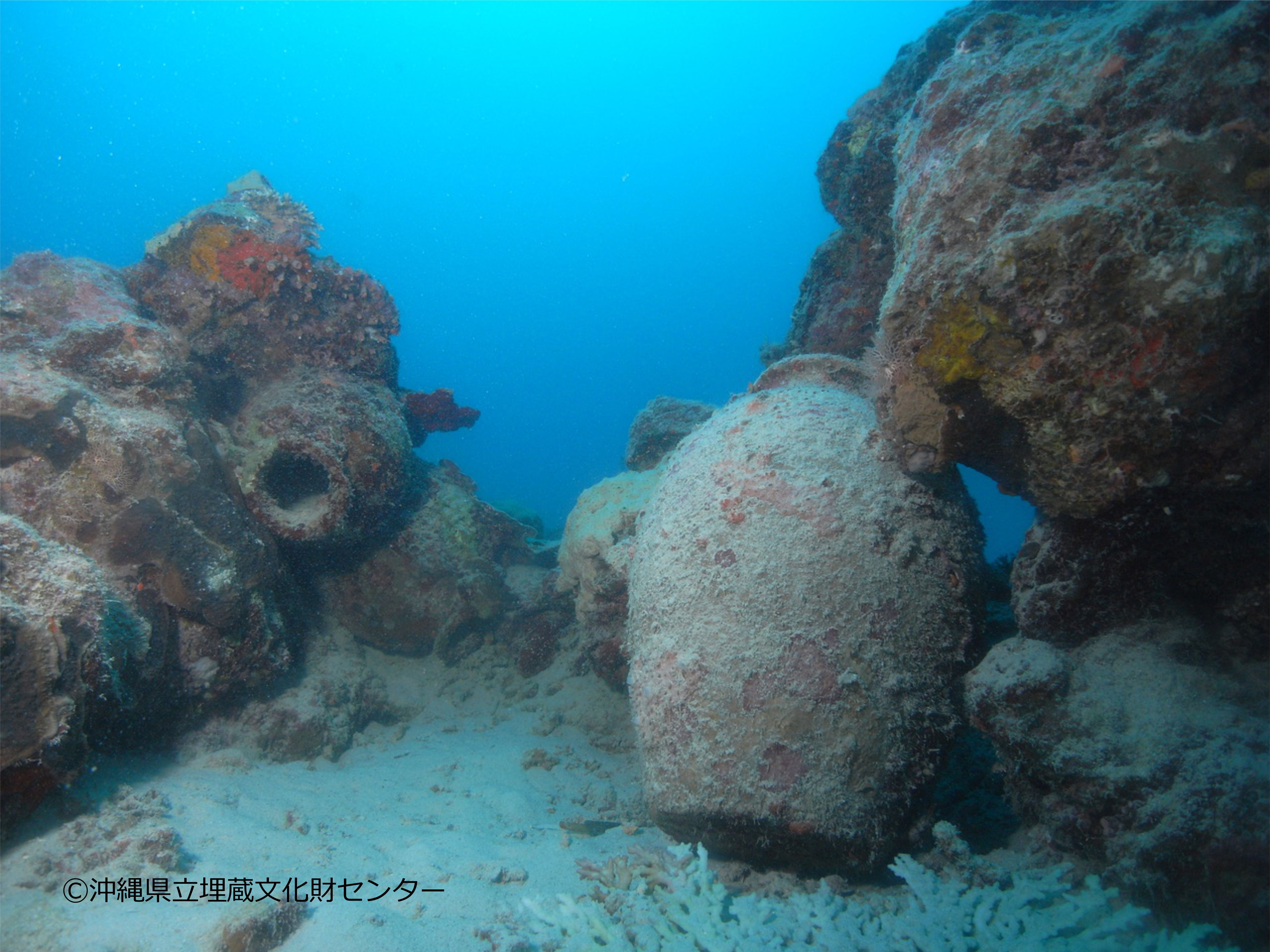 屋良部沖海底遺跡セレクティッドスペシャルティダイバーコース | 九州