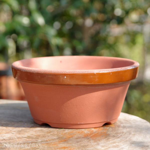 山野草の石田精華園 / 常滑焼 植木鉢 駄温鉢 浅型 6号(直径18cm) 【山