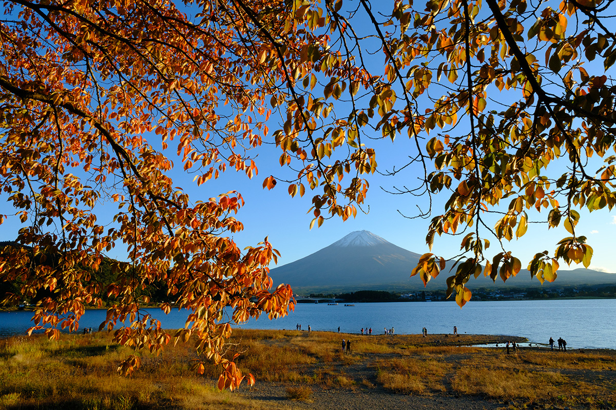 写真家・鈴木啓悟の『FSレシピ』集〜日常に寄り添う富士山〜 | IRODORI