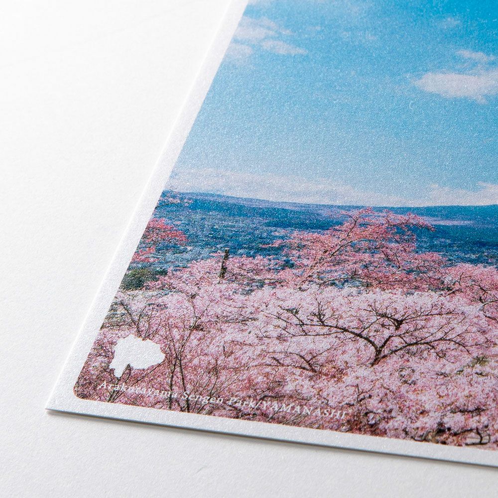 今宵かぎりは…('72スイス) 解説リーフレット/ポストカード付き 今宵