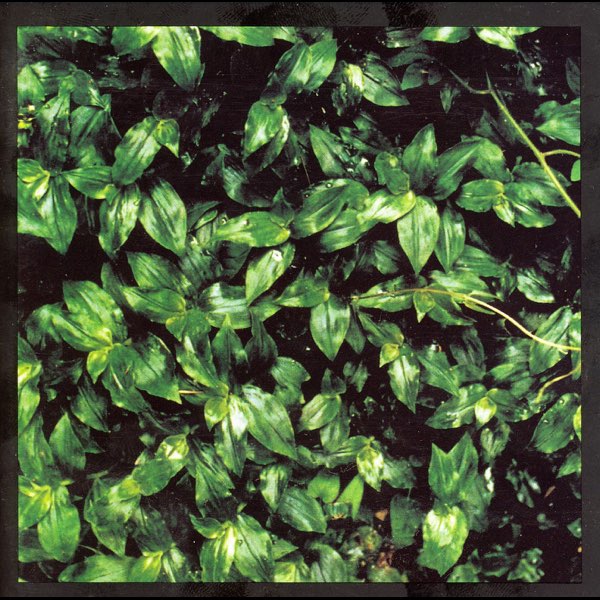 ココロに花を - エレファントカシマシのアルバム - Apple Music