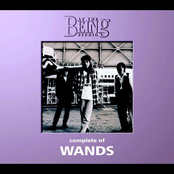 Complete of WANDS: At the Being Studio - WANDSのアルバム - Apple Music