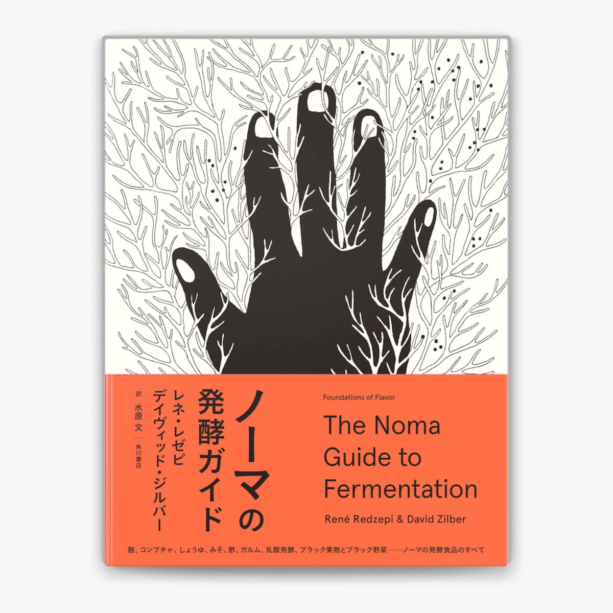 レネ・レゼピ, デイヴィッド・ジルバー & 水原文の「ノーマの発酵