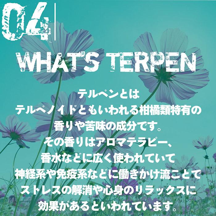 TERPENE CBDリキッド 高濃度 CBD60%配合 テルペン10%配合 10ml