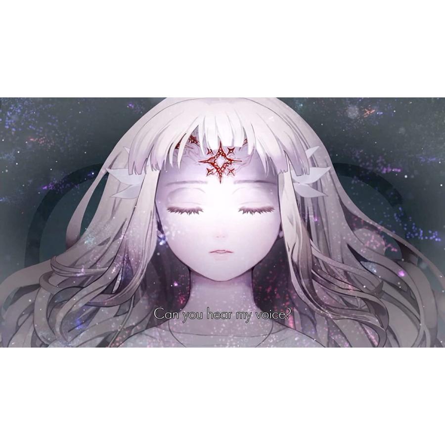 Switch ENDER LILIES：Quietus of the Knights（エンダーリリーズ