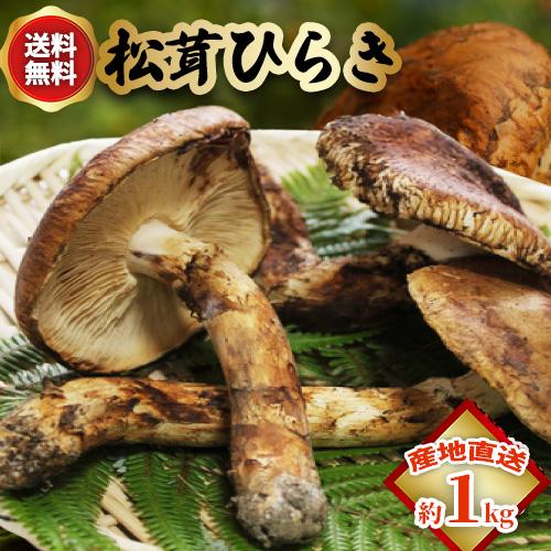 松茸 北海道 400g ① 国産 北海道 松茸 400g ④ 【公式通販】