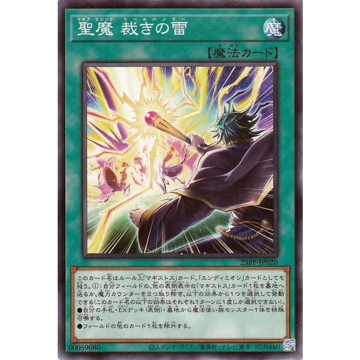 遊戯王OCG 新たなる支配者 開封後のノーマルカードのみ 遊戯王OCG 新た