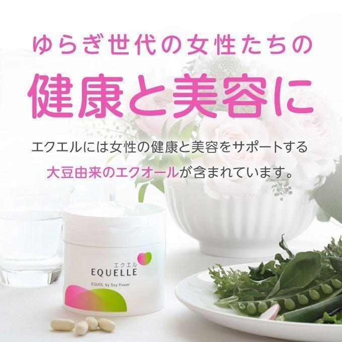エクエル パウチ 120粒×3袋 大塚製薬 エクオール : エクセレント