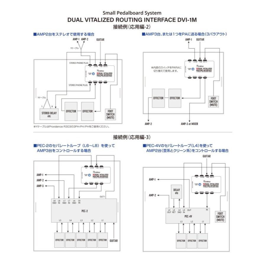 Providence Providence DVI-1M DUAL VITALIZED ROUTING INTERFACE
