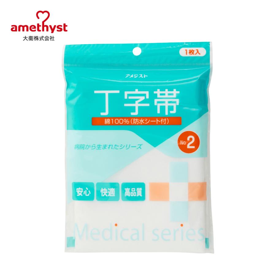 amethyst（アメジスト） 丁字帯#2 大衛 ※ネコポス対応1 : 医療・介護の
