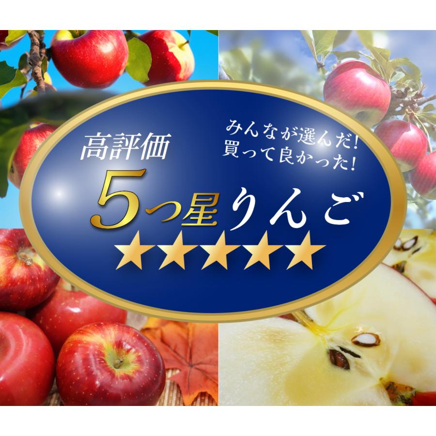 2026年10月予約 【光センサー選果保証】 高糖度 青森県産 りんご