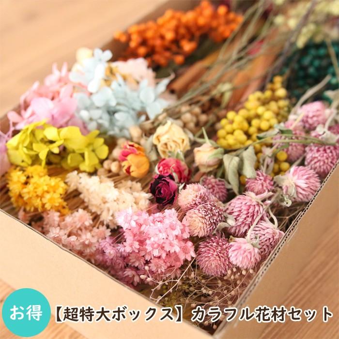 超特大ボックス】 カラフル 花材セット [ ハーバリウム プリザーブド