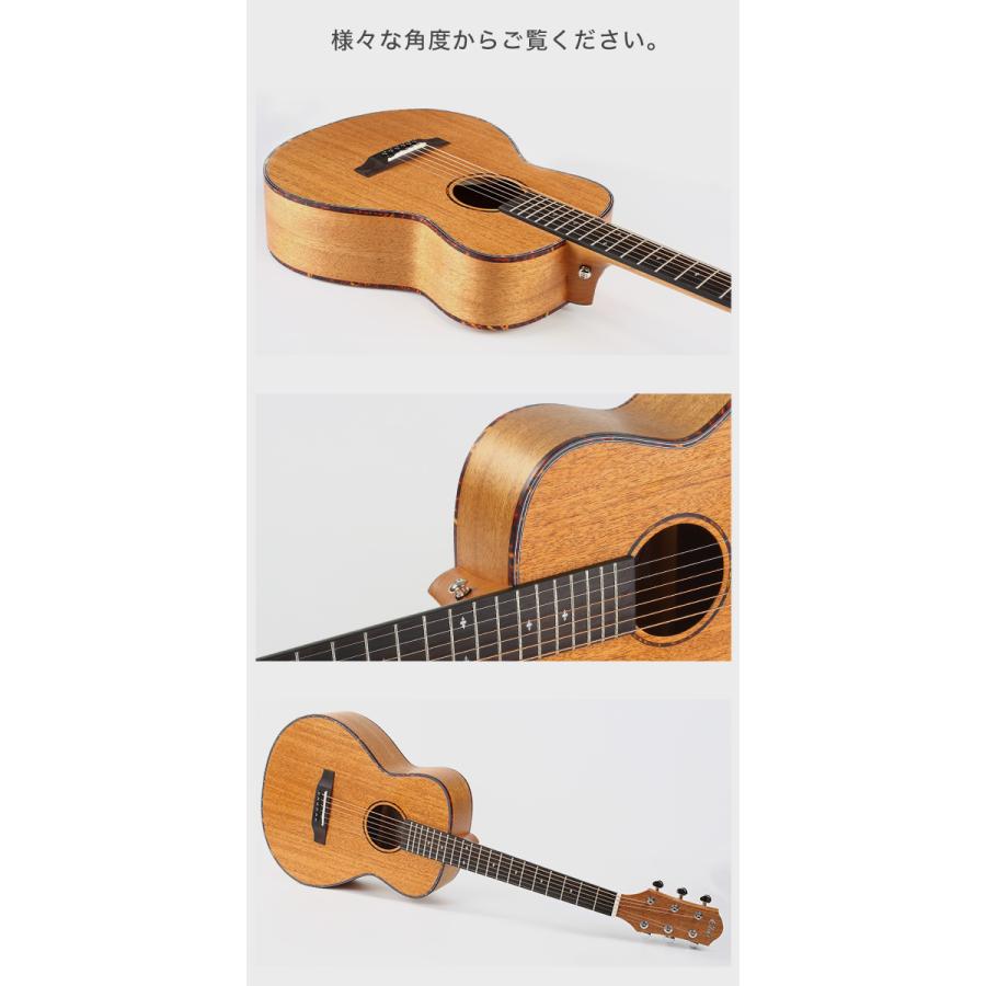 初心者定番9点セット】ELVISエルビス Master Mini 10・抱えやすい本格