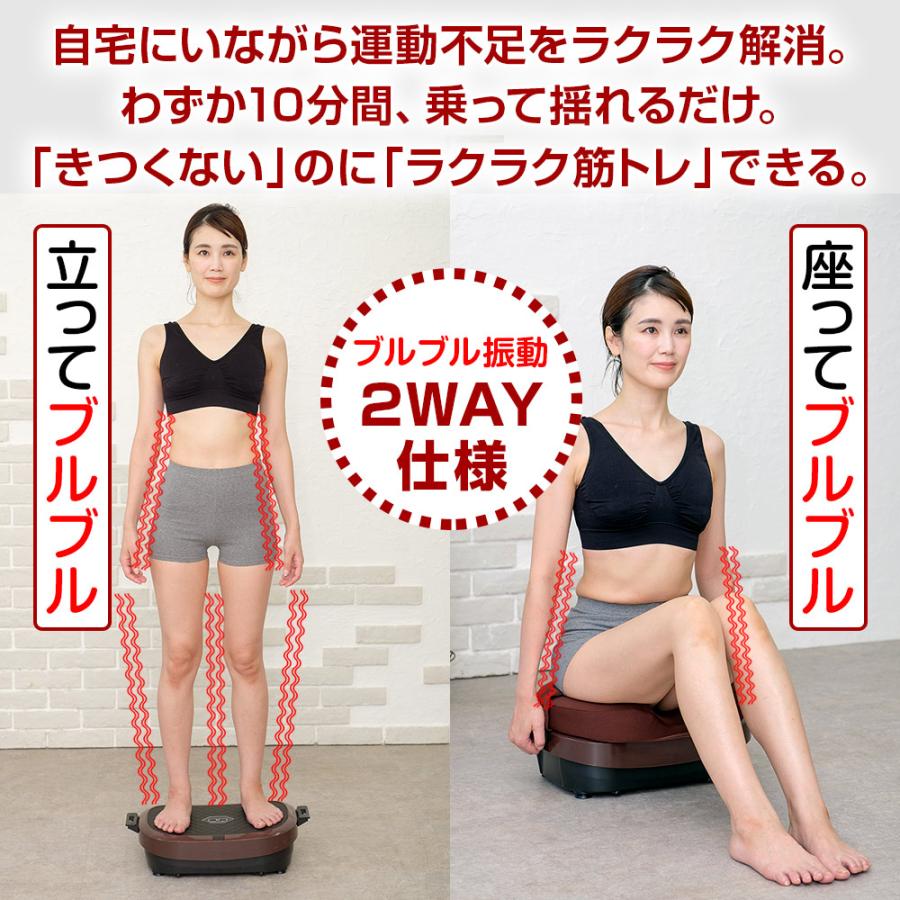 正規品】ブルブル振動マシン ライフフィット 2Wayトレーナー スマート