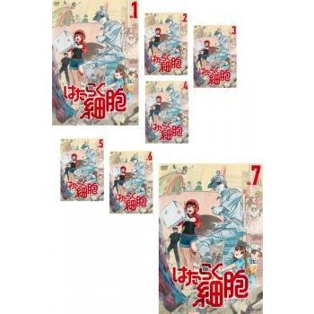 はたらく細胞 7巻 + 特別編 + はたらく細胞 4巻 + はたらく細胞 BLACK