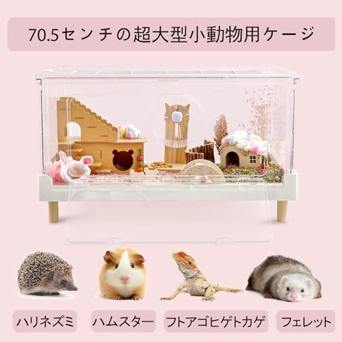 Ruexue ハムスターケージ＆モルモットケージ、小動物ペット用の完全