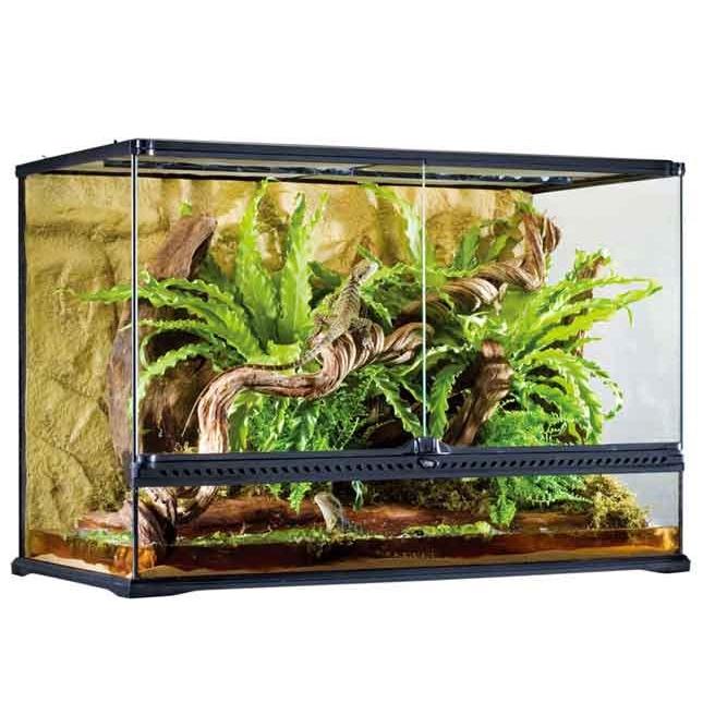 GEX（ジェックス） エキゾテラ グラステラリウム9060 PT2614 ※大型商品