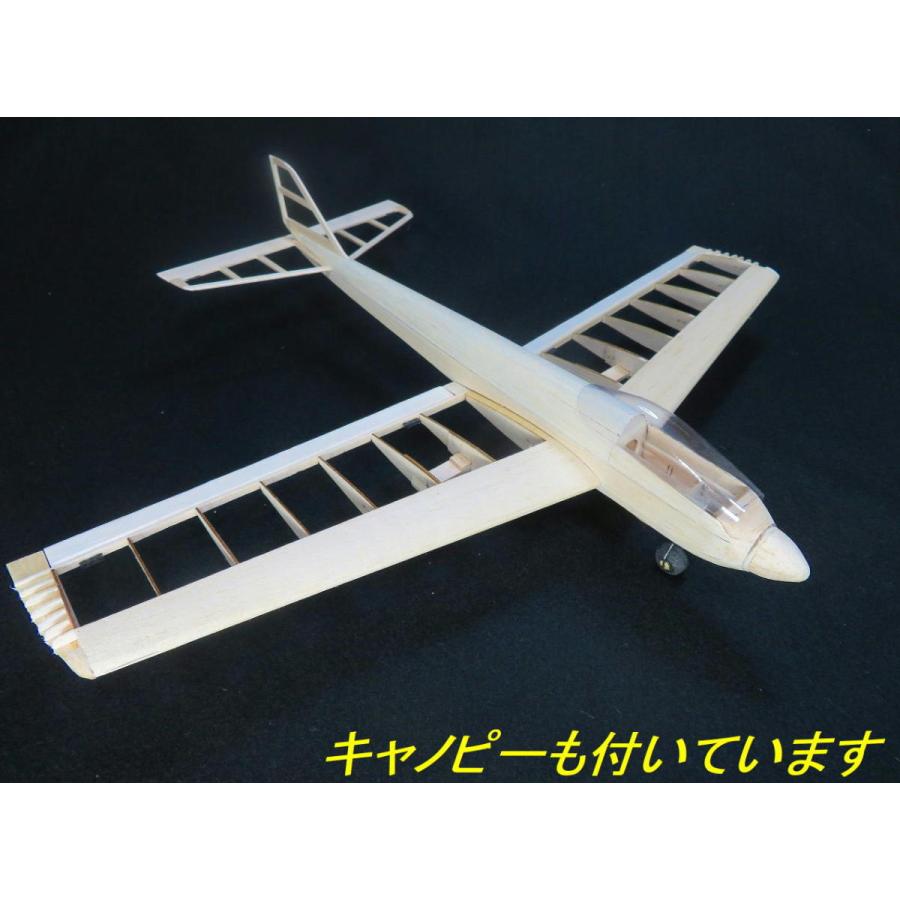 航空法規制外】「ブルーエンジェル」重量53g 翼長480mm ミニスタント機