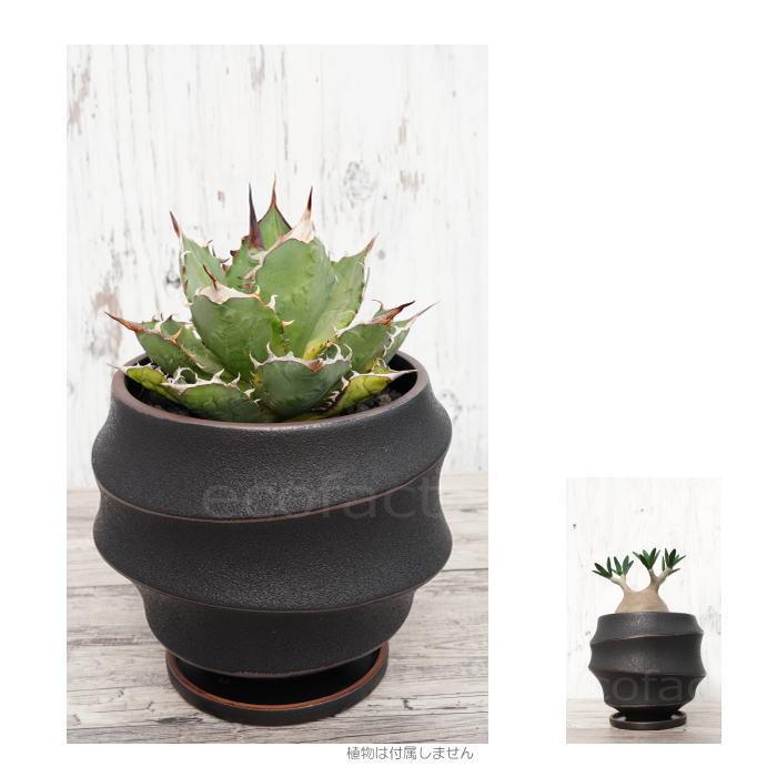 陶器鉢 植木鉢 ミニポット 底穴あり 皿付 ループ φ19cm プランター