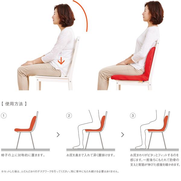 p!nto（ピント） ネイビー PINTO NAVY P!NTO 正しい姿勢の習慣用座布団