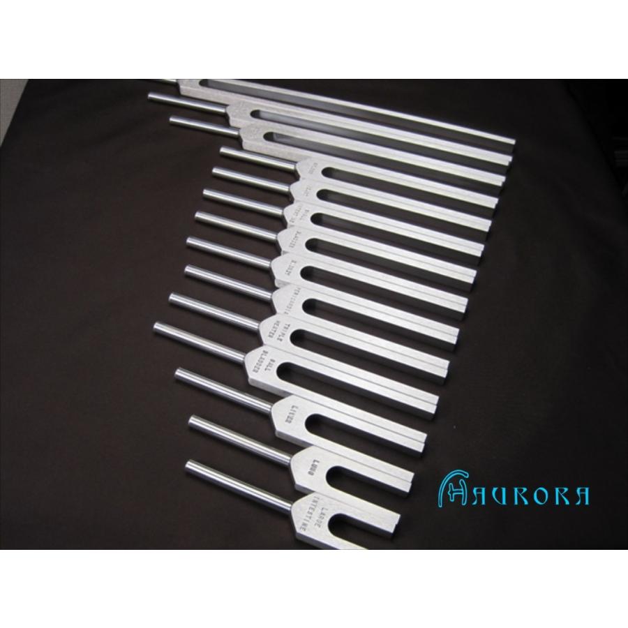 アラン・セールス 経絡音叉14本セット アラン・セールス 経絡音叉14本