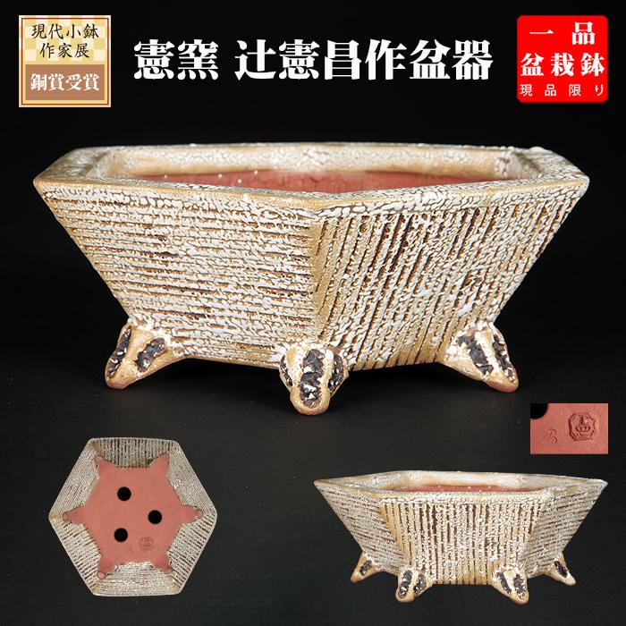 盆栽鉢 「憲窯白釉六角鉢」 植木鉢 辻憲昌 ケンヨウ 色鉢 陶器