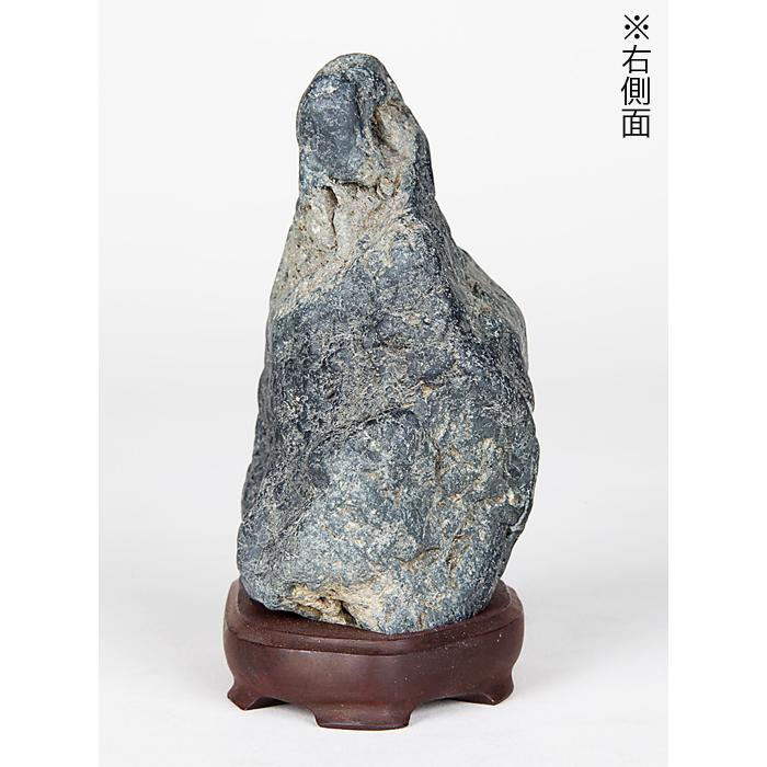 水石 「加茂川石」 盆石 天然石 すいせき 台座付き 現品限り : 盆栽彩