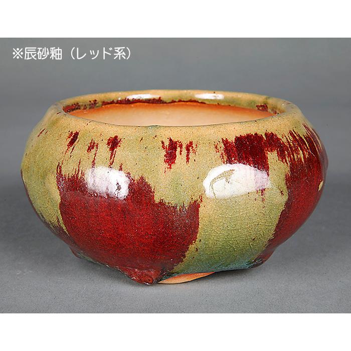 盆栽鉢 「広東色小鉢4点セット」 植木鉢 色鉢 中国鉢 4号 11.5cm 小品