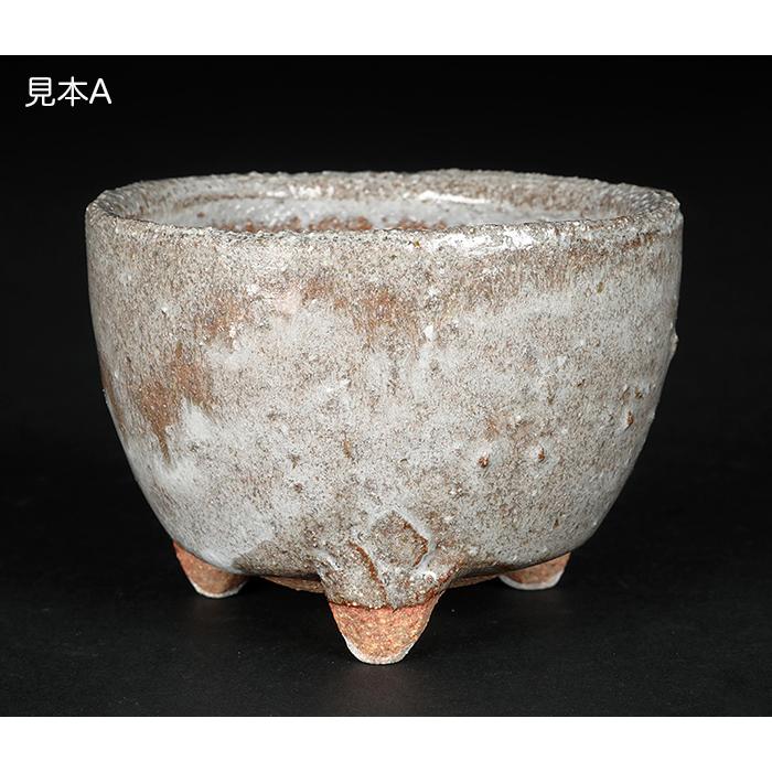 盆栽鉢 山野草鉢 「信楽焼楽風ミニ鉢8点セット」 植木鉢 陶器 2号 7cm