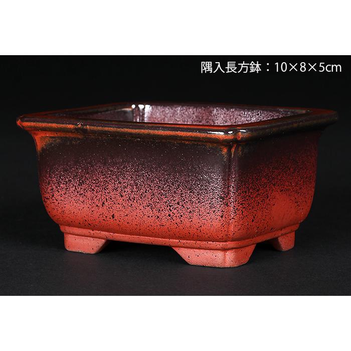盆栽鉢 植木鉢 「瀬戸焼文山窯赤釉窯変小鉢4点セット」 色鉢 3号 10cm