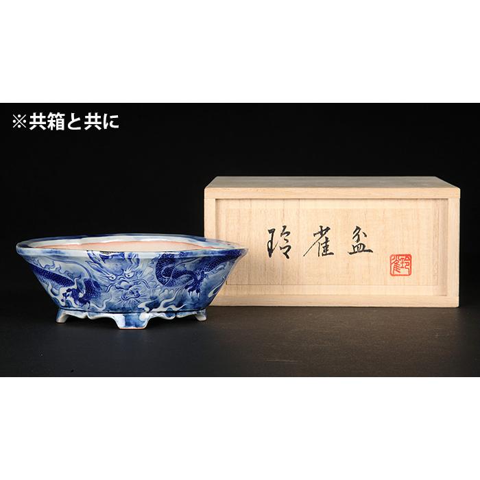 盆栽鉢 植木鉢 「玲雀染付龍図木瓜式鉢」 磁器 絵付鉢 現代小鉢作家展
