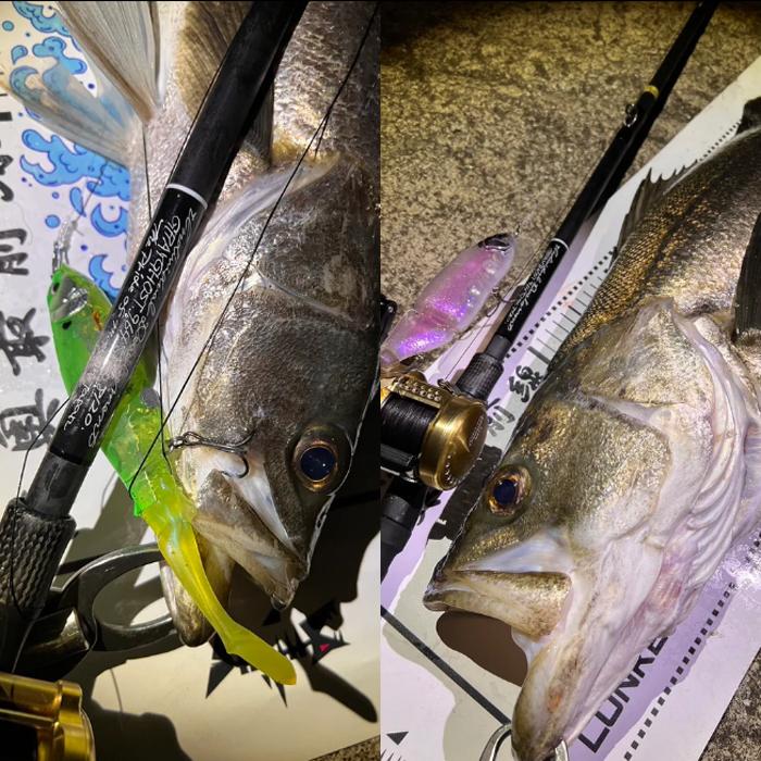 ID グレイゴースト ナイトヘロン 92MH （スタジオコンポジット