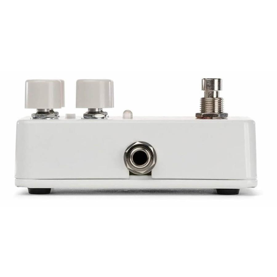 Canyon / ディレイ/ルーパー Electro-Harmonix（エレクトロ