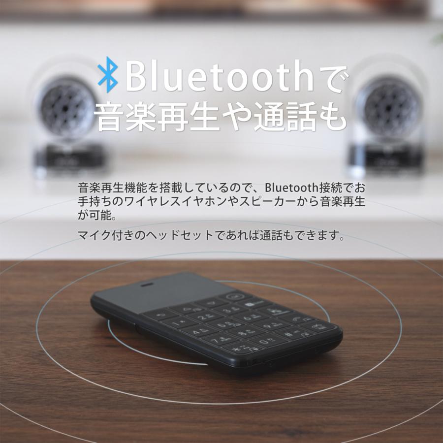 フューチャーモデル Niche Phone-S+ ニッチフォンエスプラス BLACK