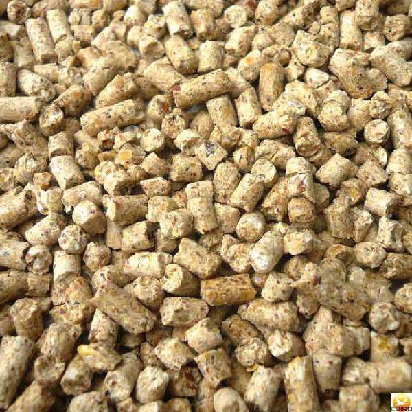 コールダック カモ類用専門フード4Kg（その他水鳥えさ） アヒル : e