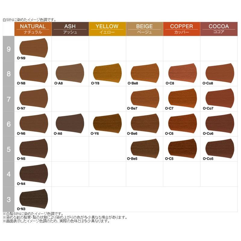 napla（ナプラ） ケアテクト OG カラー 白髪染め グレイファッション